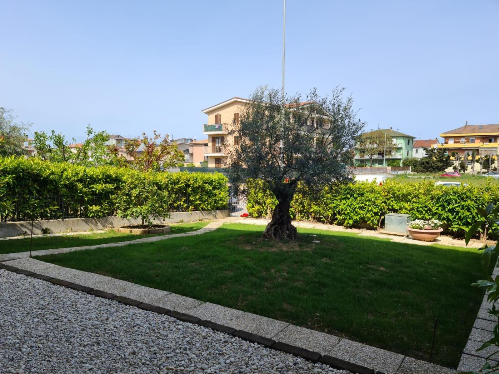 La Coccinella *