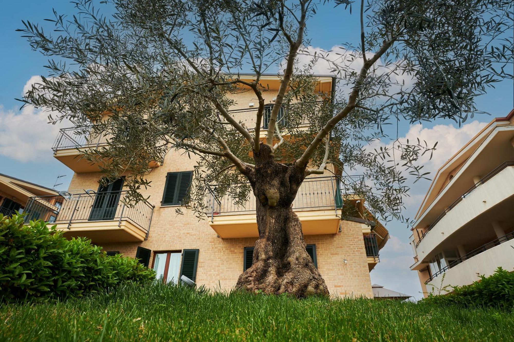 Holiday home La Coccinella Porto Sant'Elpidio